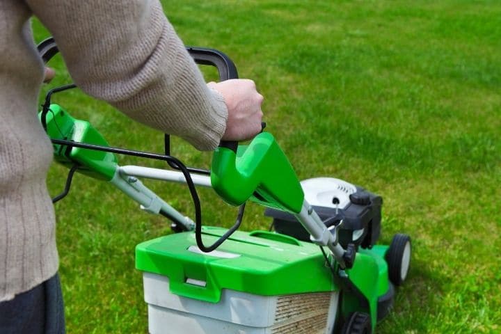 How often to mow lawn