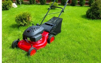 Things You Should Never Do to Your Lawn Mower