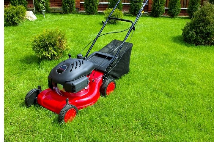Things you should never do to your lawn mower ; image