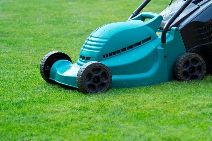 Types of lawn mower