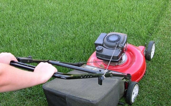 When to start mowing lawn