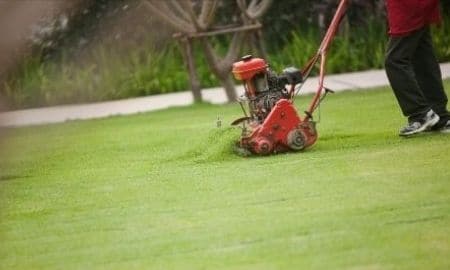 mowing in winter