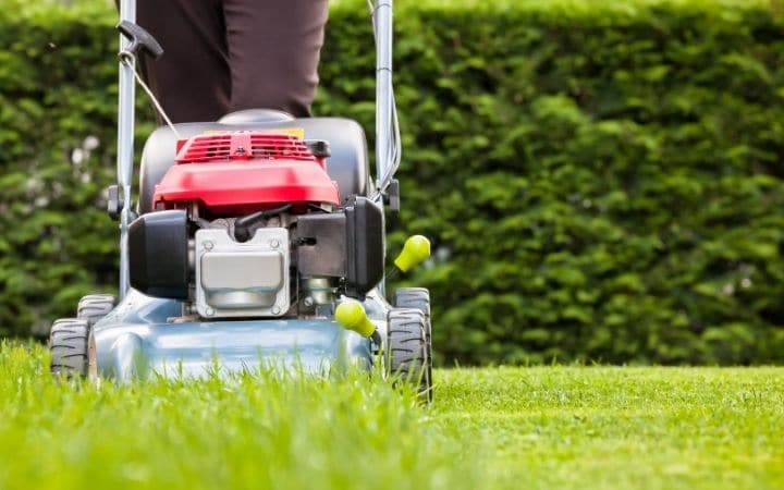 What Height Should I Cut My Grass? | Fix Your Measurement
