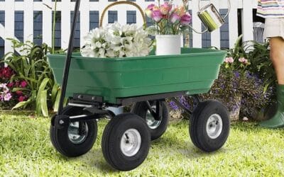 How to Maintain a Garden Dump Cart
