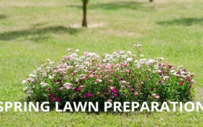 Spring Lawn Preparation | Easy Step By Step Guide