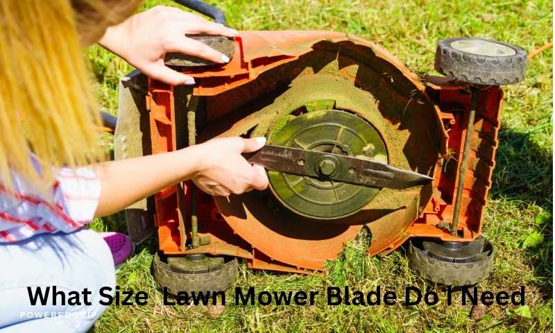 What Size Lawn Mower Blade Do I Need?
